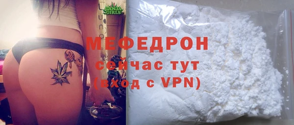 хмурый Ельня