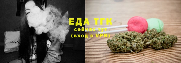 хмурый Ельня