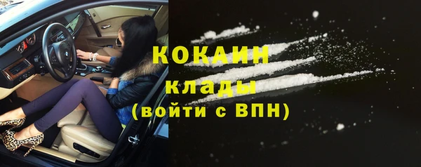 гидра Елизово