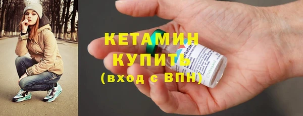 хмурый Ельня