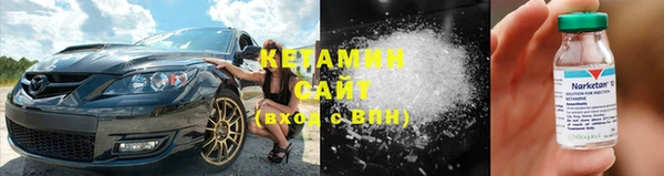 хмурый Ельня