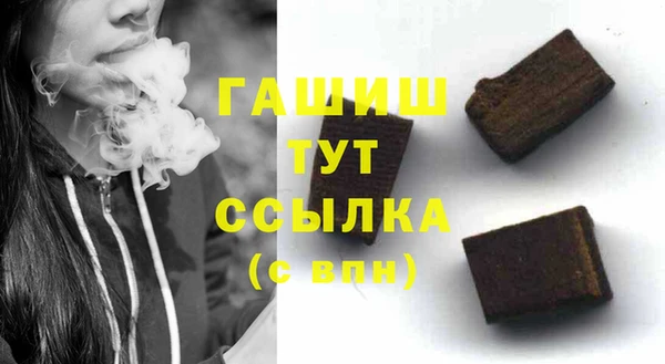 хмурый Ельня