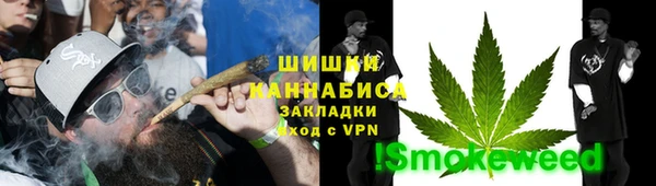 хмурый Ельня