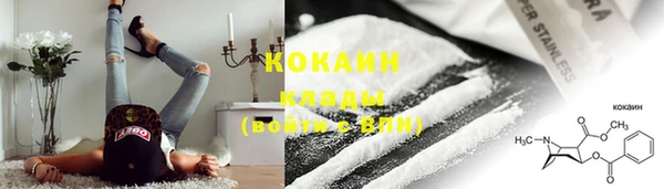 хмурый Ельня