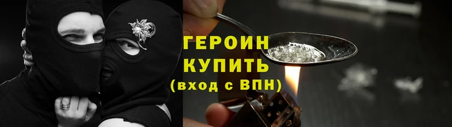 гидра Елизово