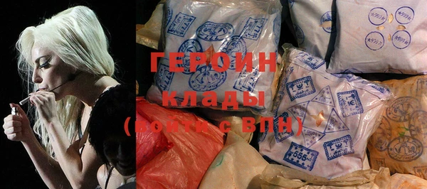 хмурый Ельня