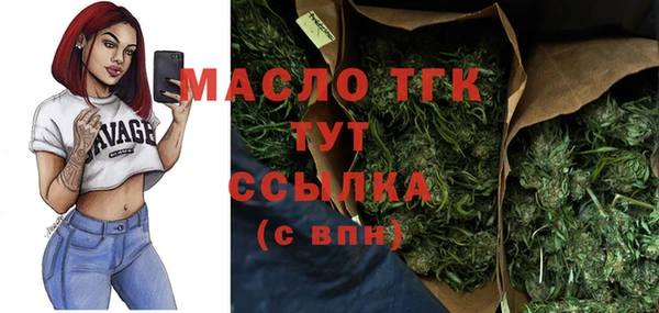 гидра Елизово