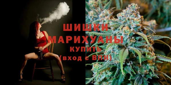хмурый Ельня