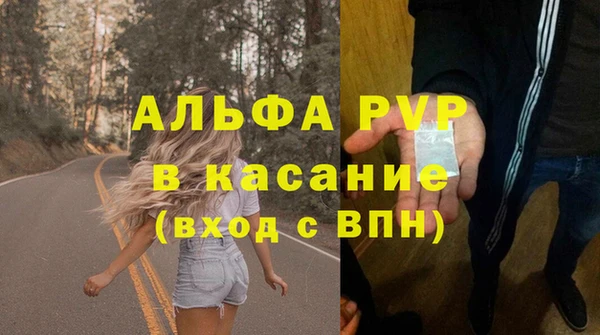 СК Елабуга