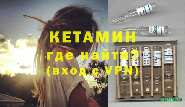 гидра Елизово
