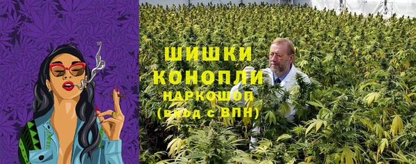 гидра Елизово