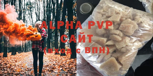 хмурый Ельня