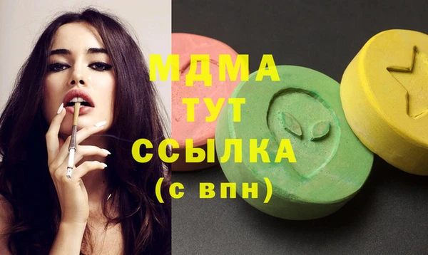 хмурый Ельня
