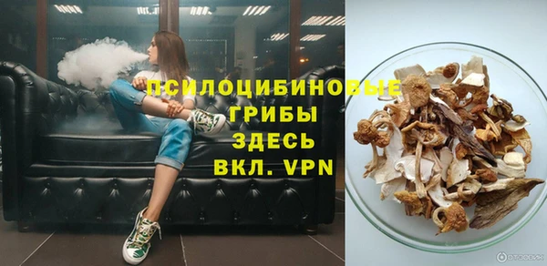гидра Елизово