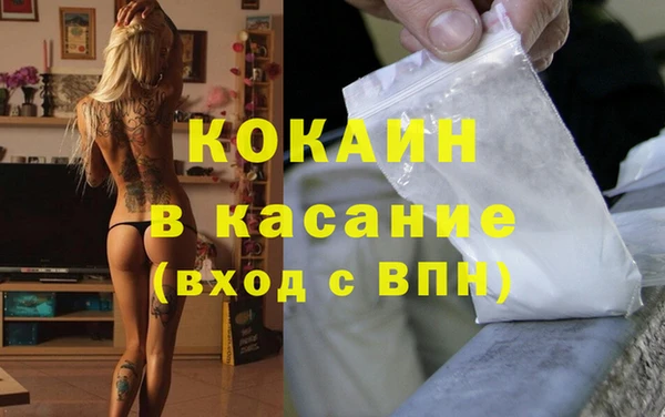 гидра Елизово