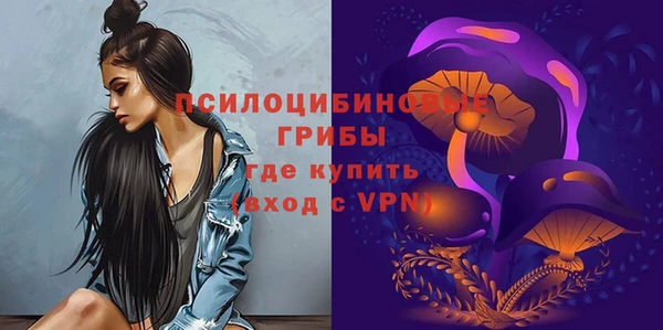 гидра Елизово