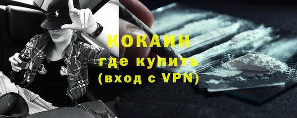 гидра Елизово