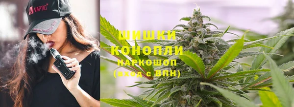 гидра Елизово