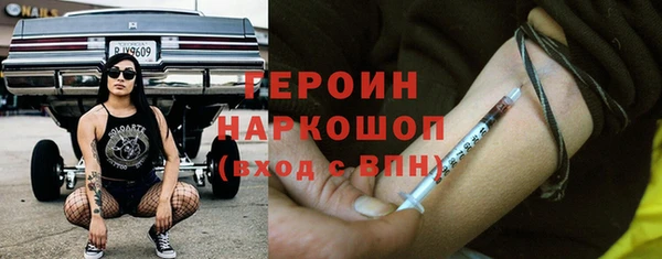 хмурый Ельня