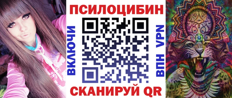 Галлюциногенные грибы Psilocybe  Купить где  Павловск 